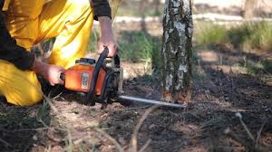 Reliable Sand Springs, OK Tree Removal and Landscaping Services Solutions